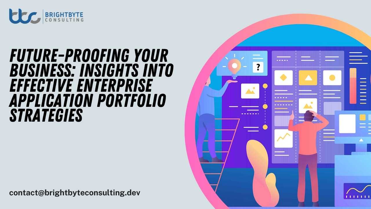 Enterprise Application Portfolio Strategies
