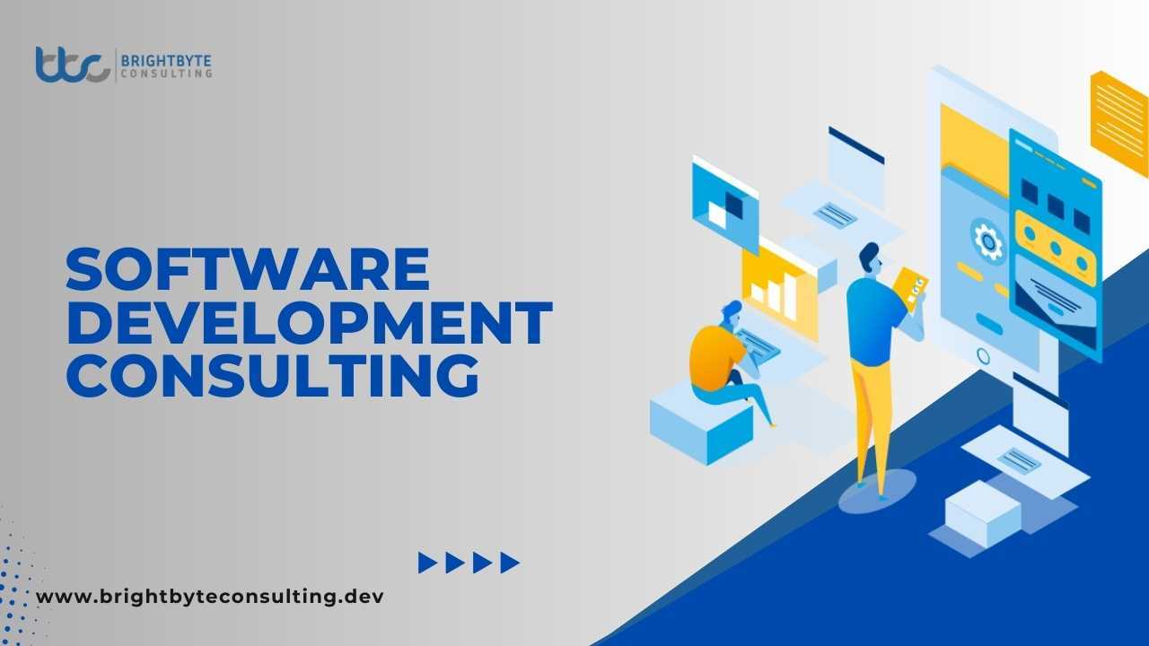software development consulting
